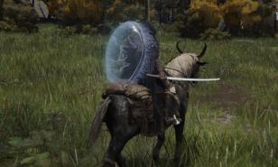 Elden Ring best shields