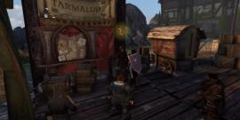 tarmalune, auction house, neverwinter, mmorpg, online game