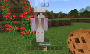 Minecraft Best NPC Mods